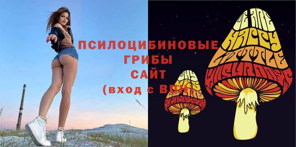 круглые Аркадак